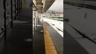 サンダーバード徐行運転　新疋田駅