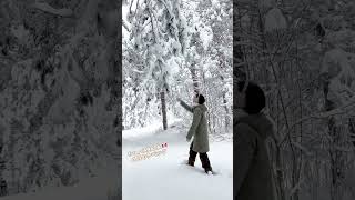 from 🇨🇦カナダでの滞在、一夜にして雪景色に☃️もうすぐ春に近づいているカナダでフカフカの雪に会えました🤍