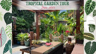 Relaxing Garden Tour June 23 🌺🏝☀️🦋🌿🦀🐚🌼