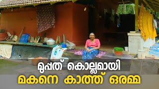 നാട് വിട്ടുപോയ മകനെ കാത്തിരുന്ന് 30 കൊല്ലമായി ഒരമ്മ