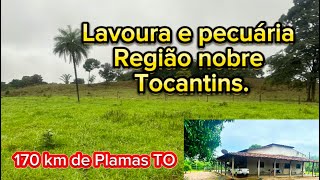 Fazenda a venda no Tocantins a 170 km de Palmas capital dupla aptidão#agro#sitio