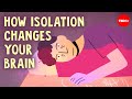 What happens to your brain without any social contact? - Terry Kupers