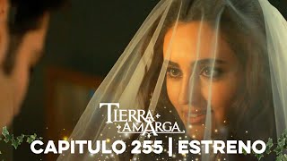 Tierra Amarga - Estreno 255 @TierraAmarga