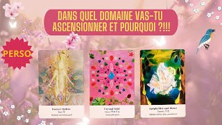 DANS QUEL DOMAINE VAS-TU ASCENSIONNER ET POURQUOI ?!!! ✨🔮