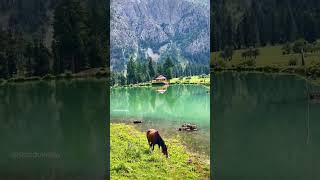 Rainbow Lake Domail , Minimarg Astore, Gilgit Baltistan #summerofshorts #shorts #rainbowlake