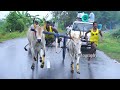 உறங்கான்பட்டி 2 மாட்டுவண்டி பந்தயம் 09.10.2022 v photography reklarace bullrace