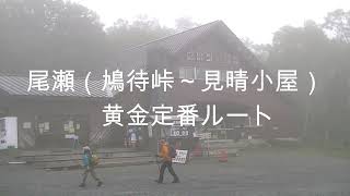 尾瀬と尾瀬ヶ原【鳩待峠～見晴小屋までの黄金ルート紹介】