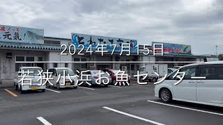 【知らなきゃ損】本当は教えたくない市場『若狭小浜お魚センター』特別大公開