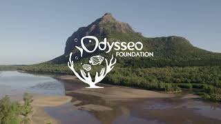 Odysseo Foundation Promotional video ( Luca Bigara )