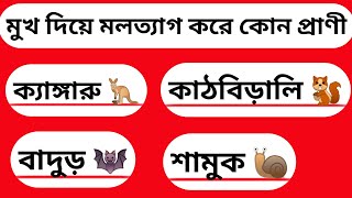 🧐কোন প্রাণী মুখ দিয়ে মলত্যাগ করে😱 || MCQ question/Quiz for bangali/ General knowledge 2022/ Gk