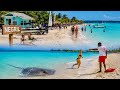 Giant Stingray Shows Up on Negril Beach in Jamaica!