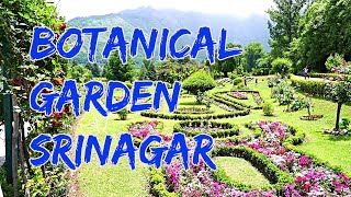 Jawaharlal Nehru Botanical Garden Sringar, Kashmir | Safar Stories