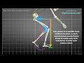 BIOMECÁNICA DEL CICLISMO. TEORÍA DE COSTE MOTOR