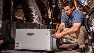 Whole House Dehumidifiers: Pros \u0026 Cons | Sylvane