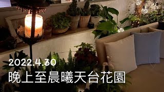 天台花園｜由晚上待至晨曦，信不信由你☺️