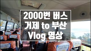 Vlog - 거제 to 부산 2000번 버스 투어