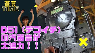 【蒸気機関車】D51（デゴイチ）の汽笛音が大迫力すぎて驚いた！！#デゴイチ#D51#長浜鉄道スクエア