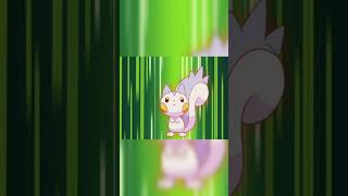 Dawn catches a Pachirisu