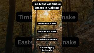 Top Most Venomous Snakes in Alabama