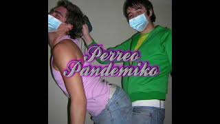 Perreo Pandemiko Mix Cuarentena | Reggaeton Pop Electro