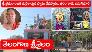 శ్రీ భ్రమరాంబిక మల్లికార్జున స్వామి దేవస్థానం || బీరంగూడ, అమీన్‌పూర్, తెలంగాణ @DaivaBhakthi