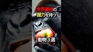 世界最強の握力を持つ動物3選#雑学 #動物 #shorts