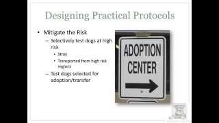 How Animal Shelters Can Treat and Prevent Heartworm in Dogs - webcast