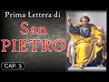 prima lettera di san pietro nuovo testamento libro 21°