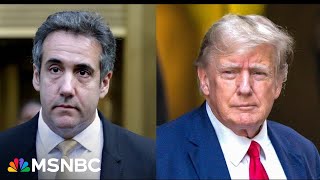 Michael Cohen is the 'only one' who can say if Trump was aware of falsification of business records