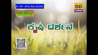 ಕೃಷಿದರ್ಶನ  11-01-2021  1) ರಾಗಿ ತಳಿಗಳು 2) ಸಾವಯವ ಕೃಷಿಯ ಮಹತ್ವ 3) ಸಂಚಾರಿ ಸಸ್ಯ ಆರೋಗ್ಯ ಚಿಕಿತ್ಸಾಲಯ – ವರದಿ