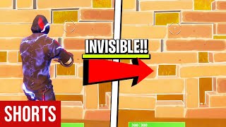 i am INVISIBLE in Fortnite??