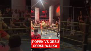 POPEK VS ORSU CORSU WALKA