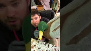 Fully flocking a Drake Mallard part 4