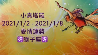 獅子座 2021/1/2 - 1/8 愛情運勢