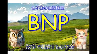 BNP 心不全を血液検査で知る