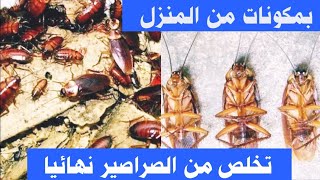 وداعا الصراصير الصغيره والكبيره دفعه واحده عن تجربه