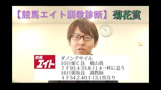 【競馬エイト調教診断】菊花賞（坂本和\u0026明木）