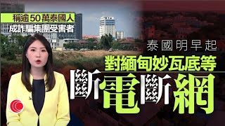 有線新聞 晚間新聞｜即時新聞｜港聞｜兩岸國際｜資訊｜HOY TV NEWS｜ 20250205