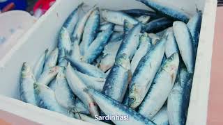 Lisbon's Sardine Festival - aka the festival of Santo António or the festival of Santos Populares