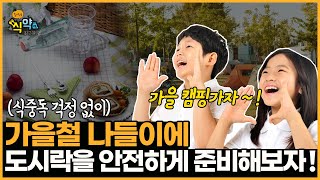 즐거운 가을여행을 위해 안전한 도시락 준비하기! [슬기로운 식약탐구생활]