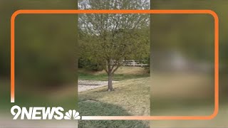 Health expert shares tips for managing spring allergies