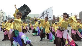 「皇學館大学“雅”」四日市よさこい やったろ舞2017【市民公園会場】