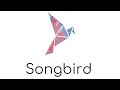 Introducing Songbird, the Canary Network for Flare.