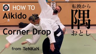 WayOf合氣 | 転換から隅おとし Corner Drop : HOW TO | Katsumi Idogawa Sensei (井戸川克巳先生) OIZUMI AIKI 大泉合氣道 2023 #5