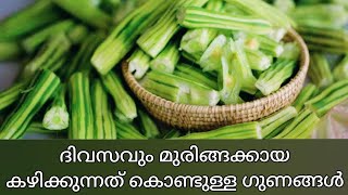 ദിവസവും മുരിങ്ങ കഴിച്ചാലുള്ള ഗുണങ്ങൾ -  Top Health Benefits of Moringa