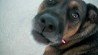 DSCF0380[1].AVI
