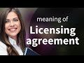 Understanding Licensing Agreements: A Beginner's Guide