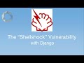 The Shellshock vulnerability - #20