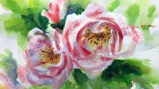 Roses Watercolor Sketch