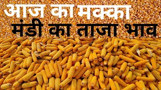 आज का मक्का मंडी का भाव, Maize Mandi ka bhav,आज का मक्का का रेट, Makka ka bhav today,